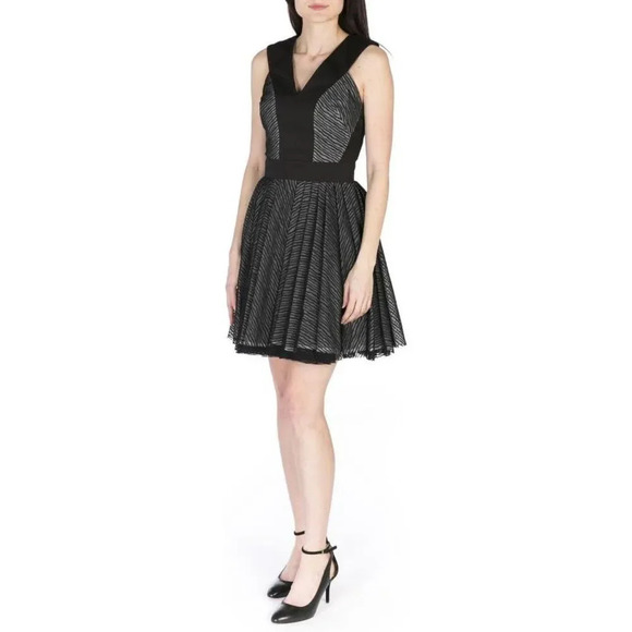 Robert Rodriguez Zebra Stripe Lace Sleeveless Flared Dress - Picture 1 of 14